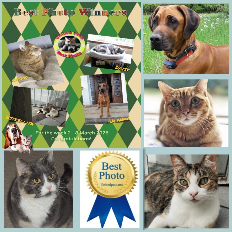 Blanche uploaded   34  day/s  ago