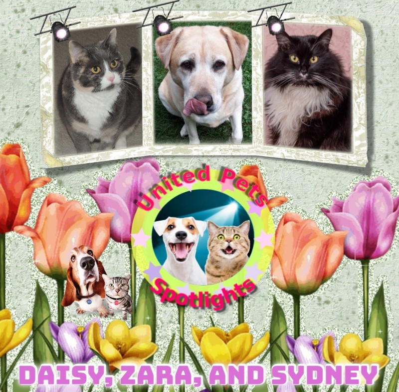 Blanche uploaded   12  day/s  ago