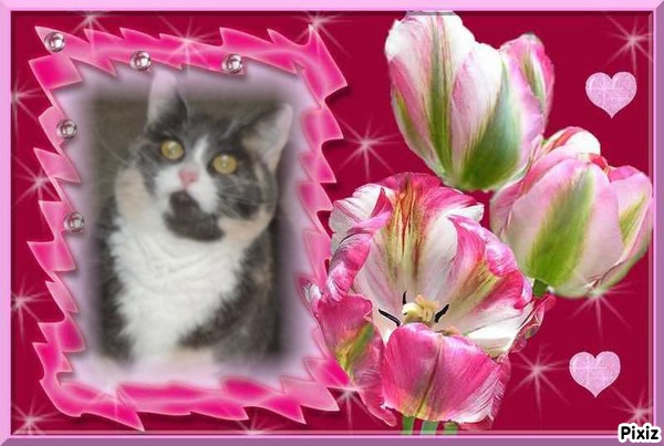 Blanche uploaded   10  day/s  ago