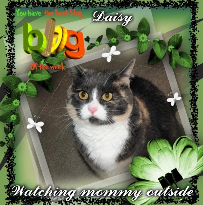 Blanche uploaded   8  day/s  ago