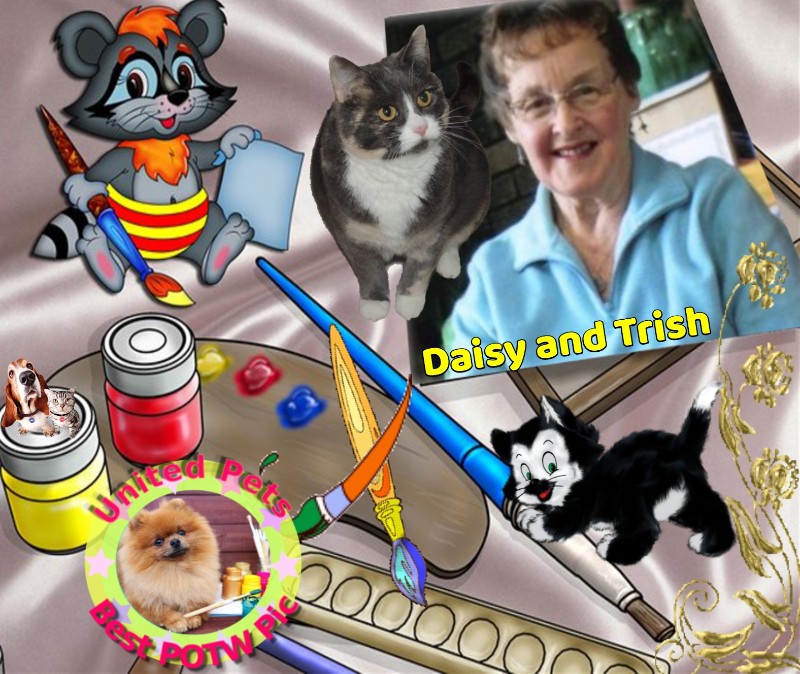 Blanche uploaded   32  day/s  ago