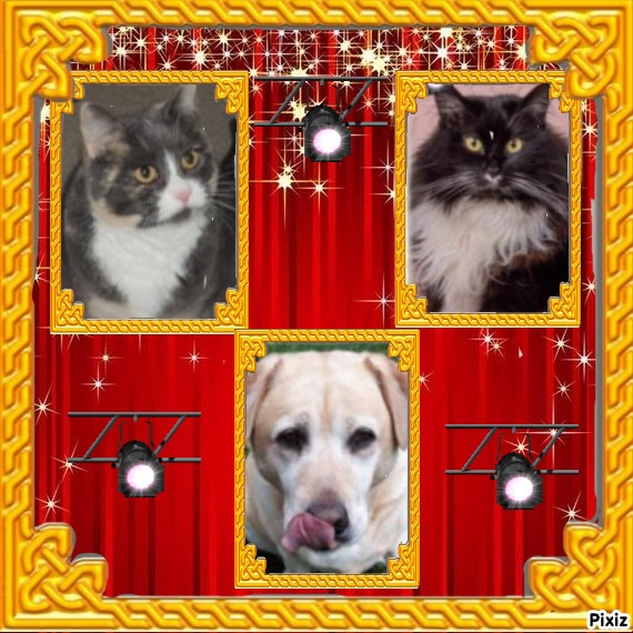 Blanche uploaded   11  day/s  ago