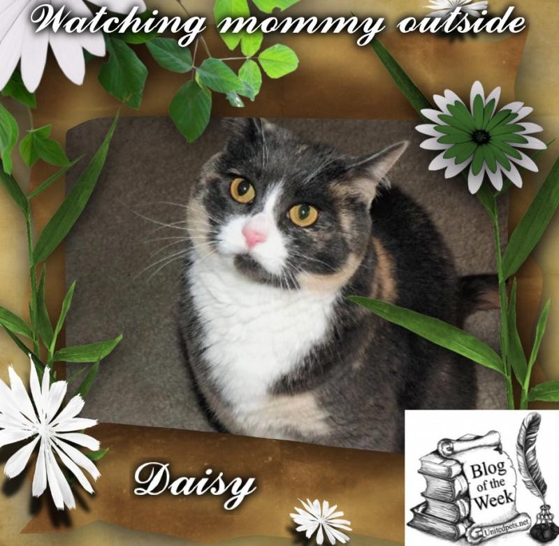 Blanche uploaded   6  day/s  ago