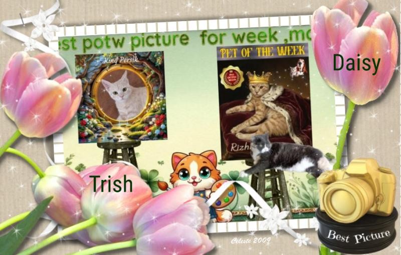 Blanche uploaded   43  day/s  ago