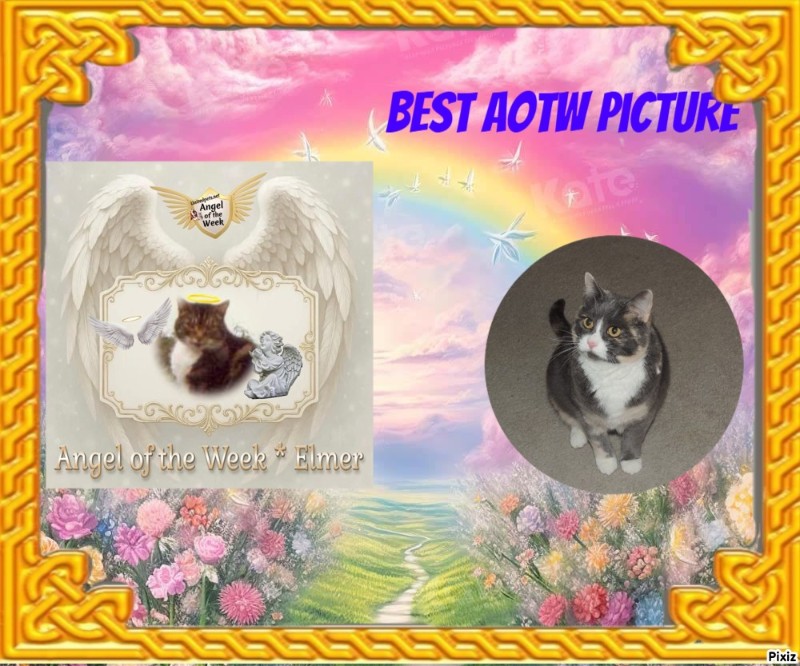 Blanche uploaded   17  day/s  ago