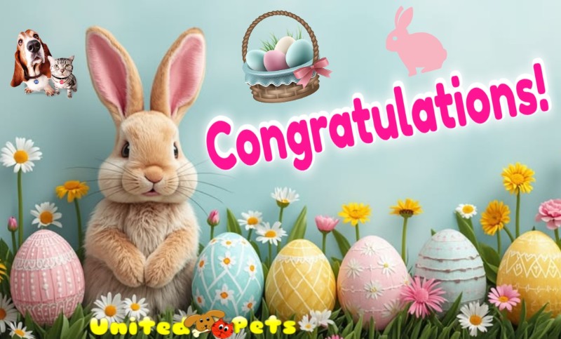 Daisy of the Blanche family