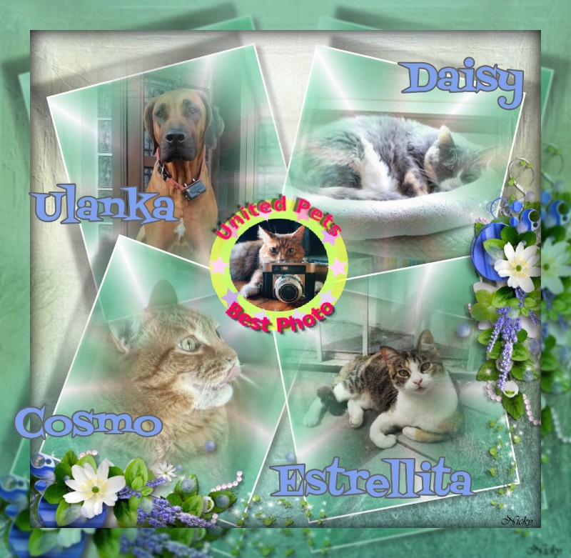 Blanche uploaded   36  day/s  ago