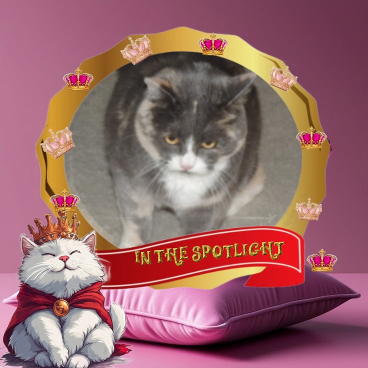 Blanche uploaded   7  day/s  ago