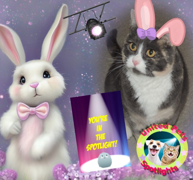 Blanche uploaded   13  day/s  ago