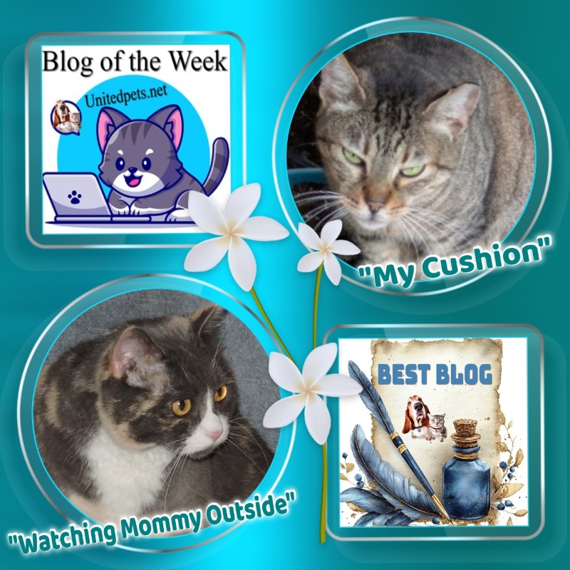 Blanche uploaded   9  day/s  ago