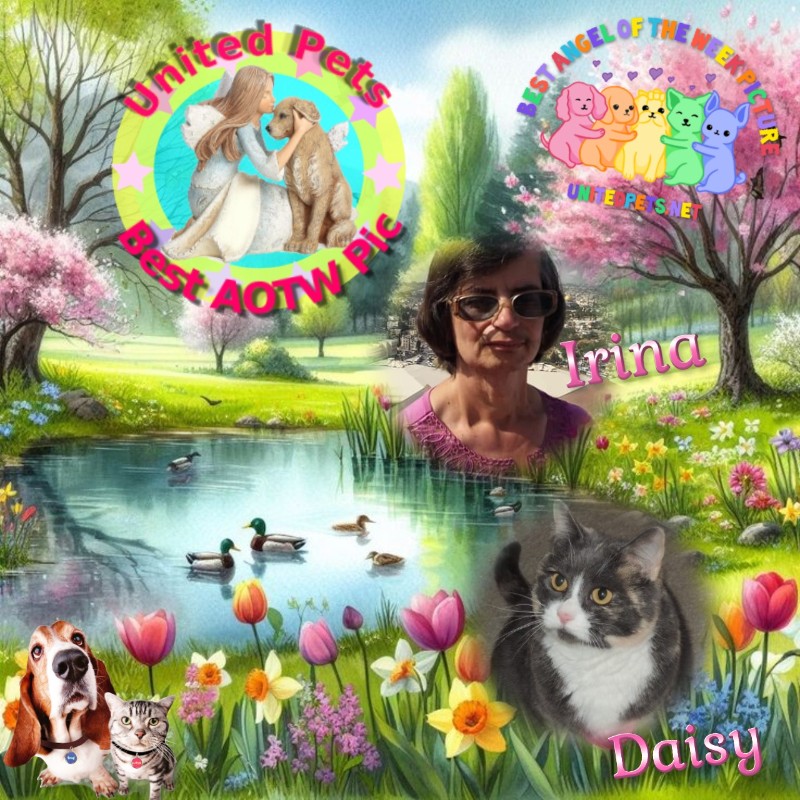 Daisy of the Blanche family