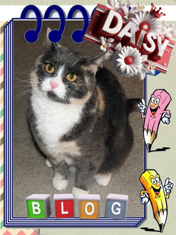 Blanche uploaded   7  day/s  ago