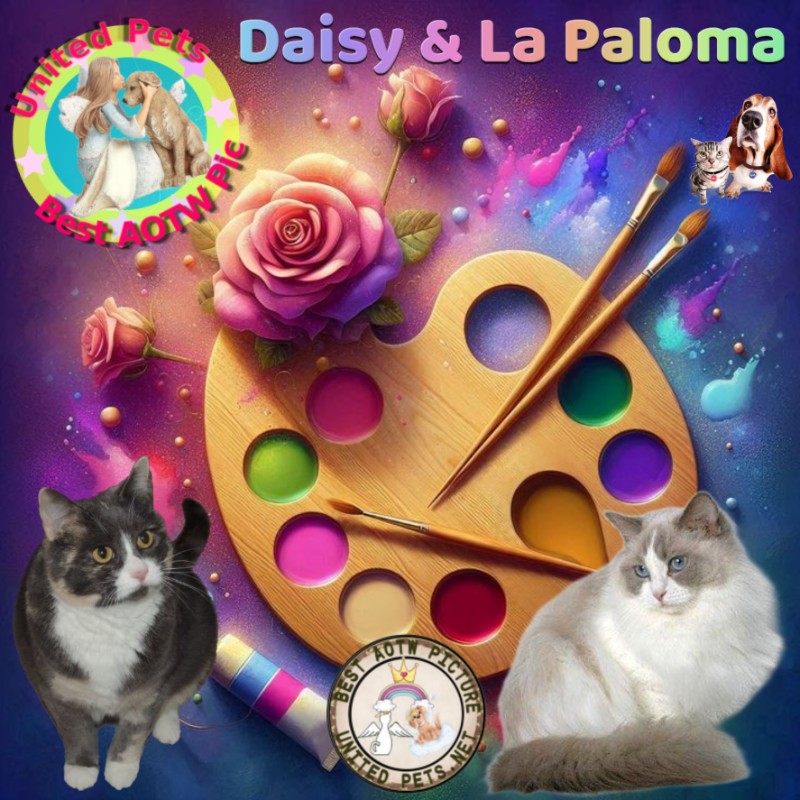 Blanche uploaded   13  day/s  ago