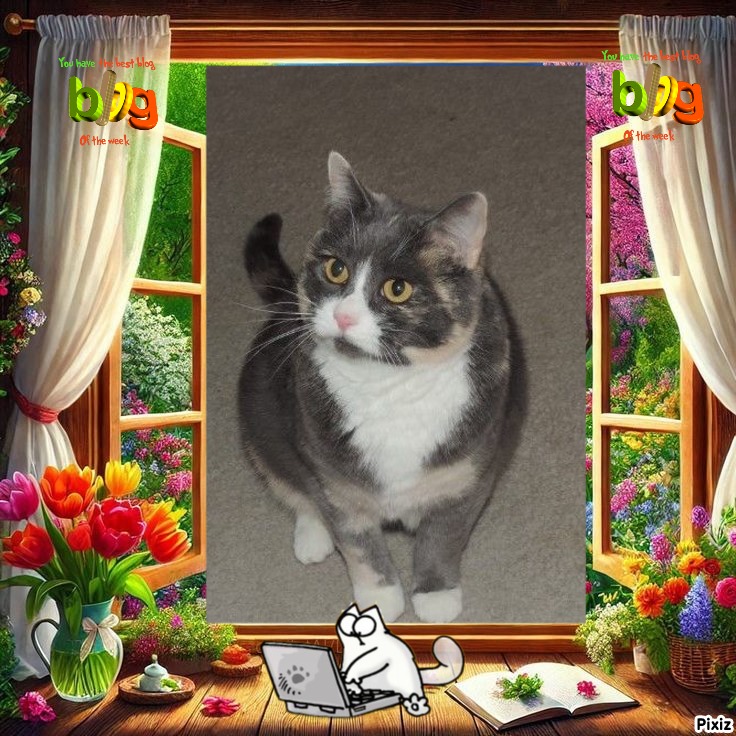 Blanche uploaded   10  day/s  ago