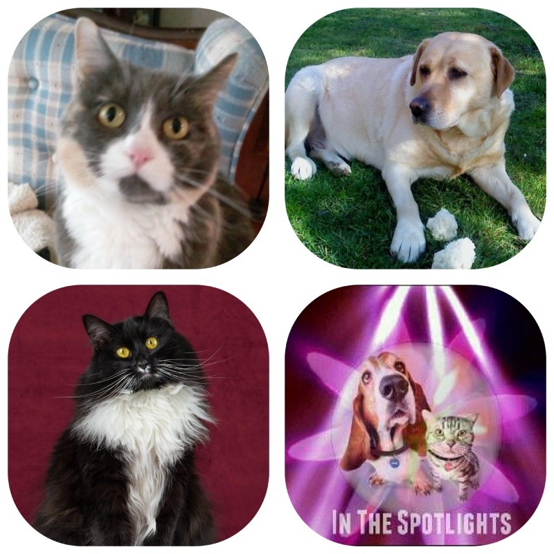 Blanche uploaded   9  day/s  ago