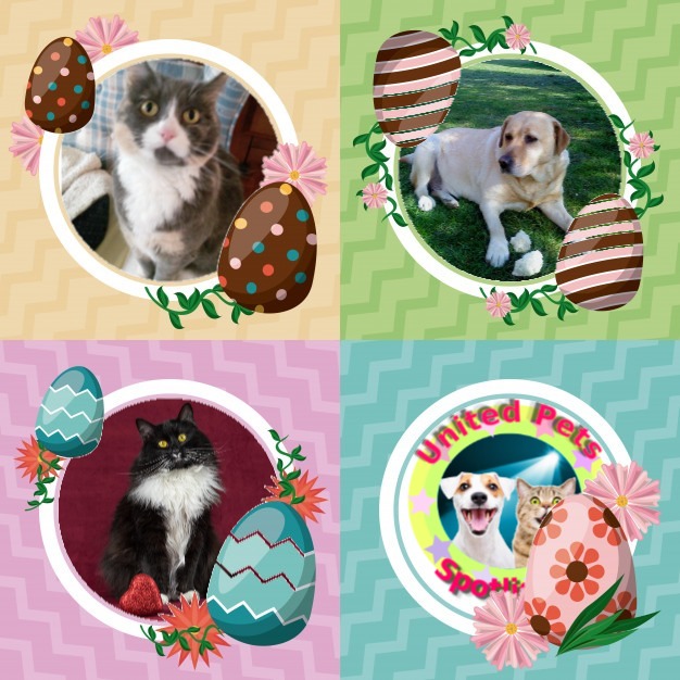 Blanche uploaded   5  day/s  ago