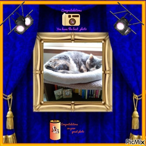 Blanche uploaded   34  day/s  ago