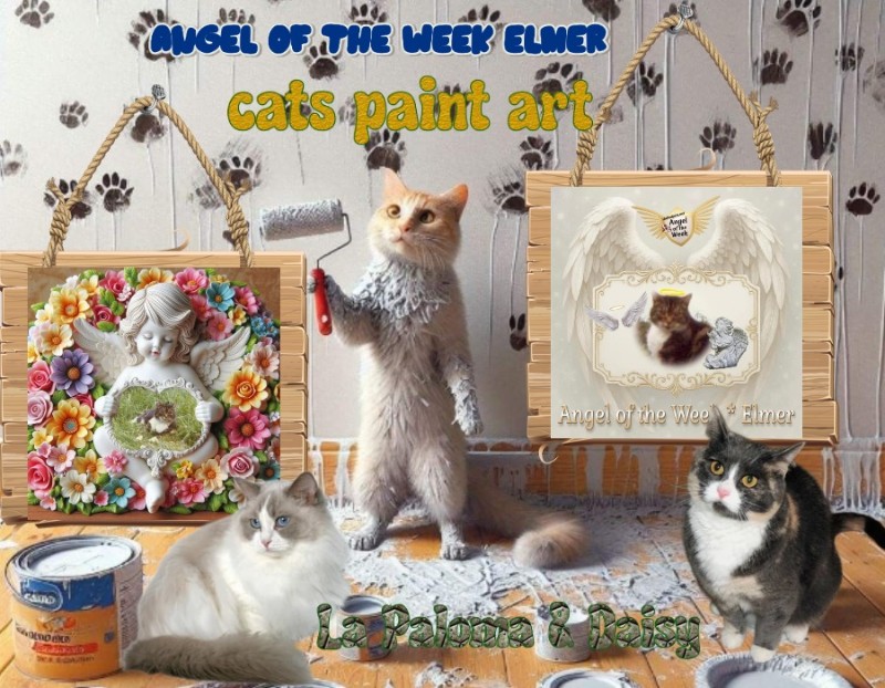 Blanche uploaded   18  day/s  ago