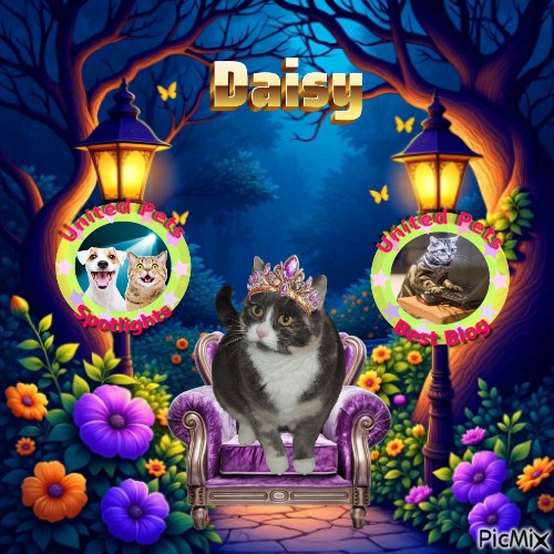 Blanche uploaded   10  day/s  ago