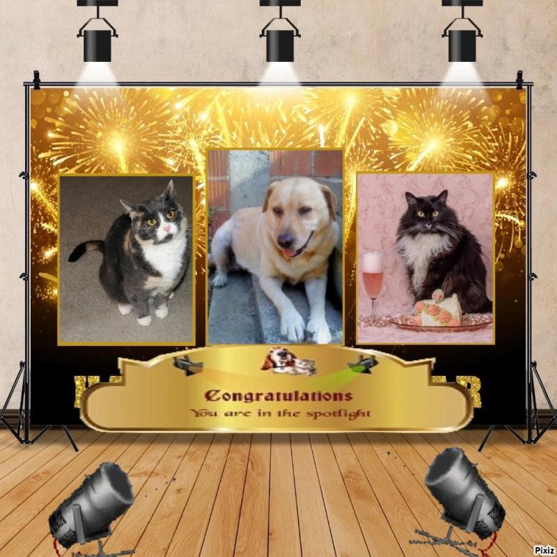 Blanche uploaded   5  day/s  ago