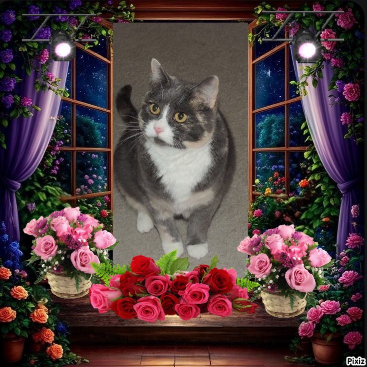 Blanche uploaded   13  day/s  ago