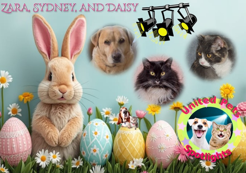 Blanche uploaded   8  day/s  ago