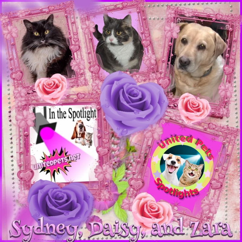 Blanche uploaded   10  day/s  ago