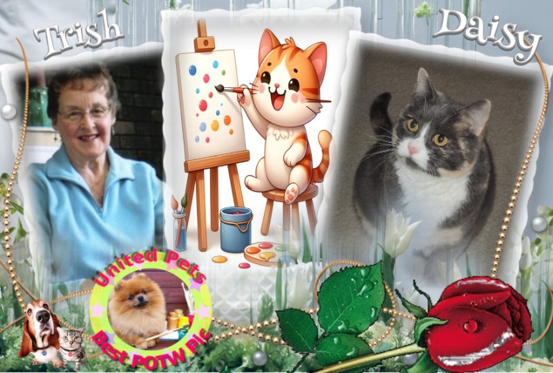 Blanche uploaded   41  day/s  ago