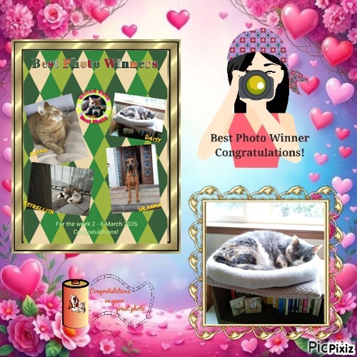 Blanche uploaded   45  day/s  ago