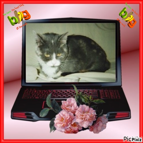 Daisy of the Blanche family