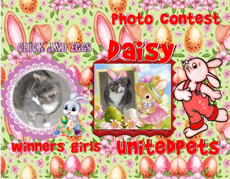 Daisy of the Blanche family