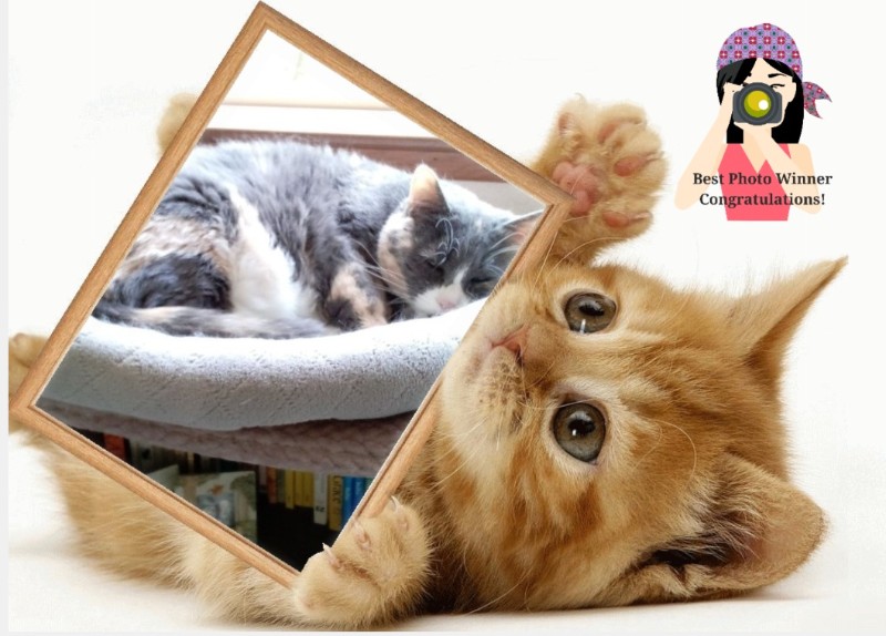 Blanche uploaded   45  day/s  ago