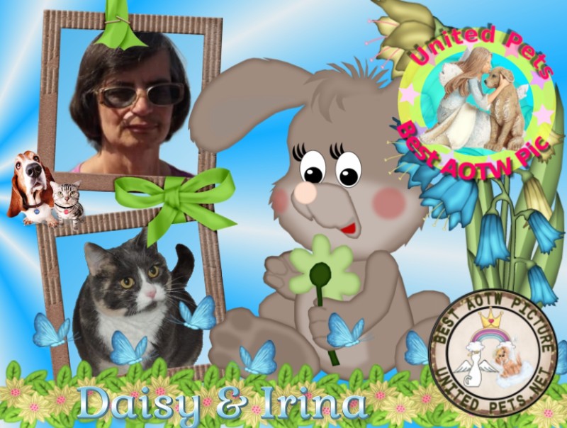 Daisy of the Blanche family