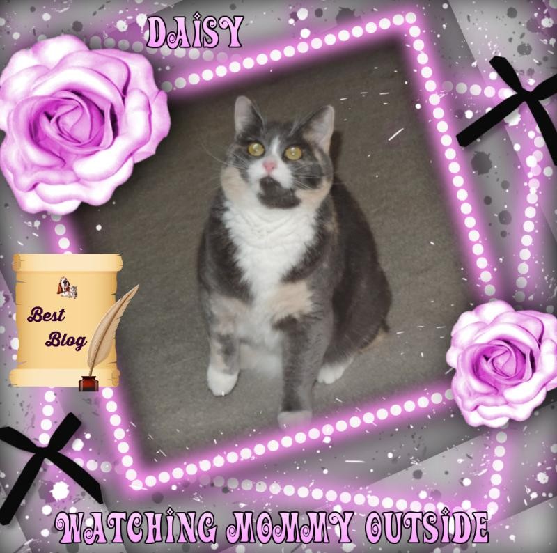 Blanche uploaded   10  day/s  ago