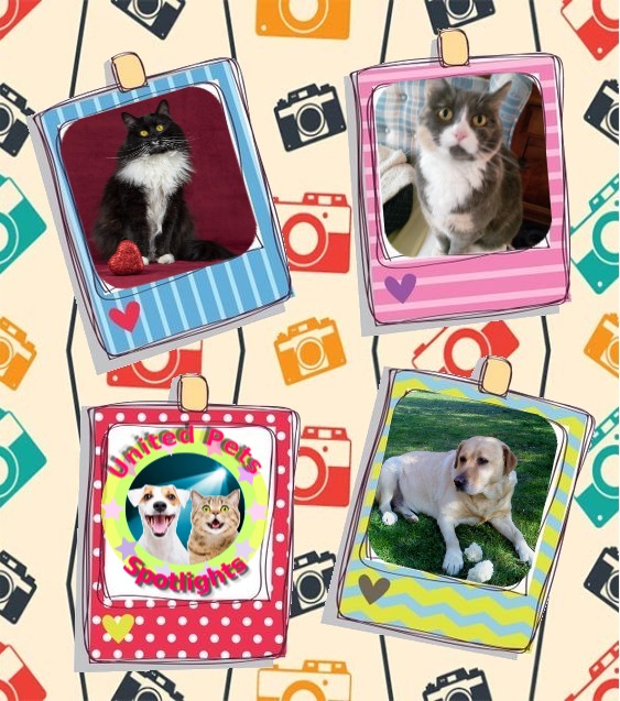 Blanche uploaded   8  day/s  ago