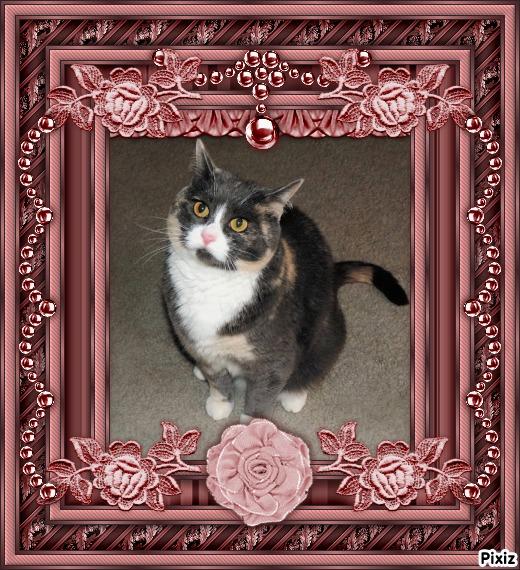 Blanche uploaded   7  day/s  ago