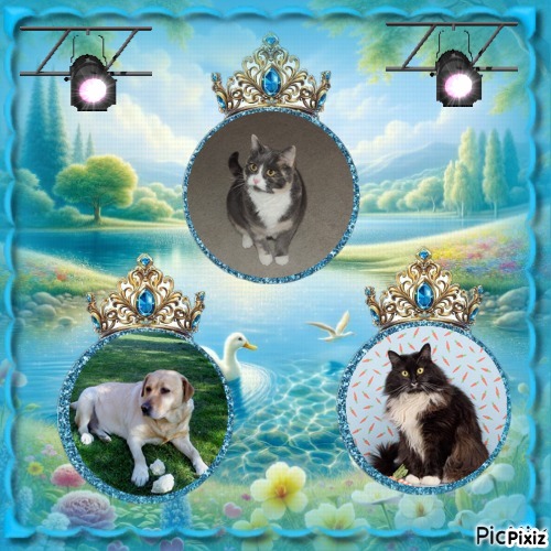 Blanche uploaded   13  day/s  ago