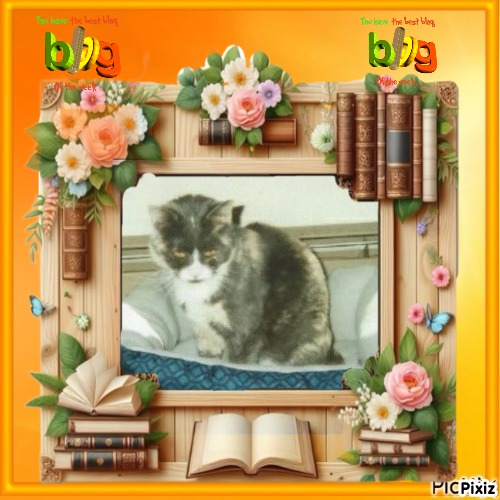 Blanche uploaded   10  day/s  ago