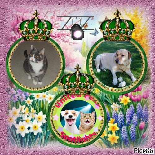 Blanche uploaded   13  day/s  ago