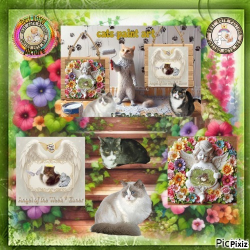 Blanche uploaded   17  day/s  ago