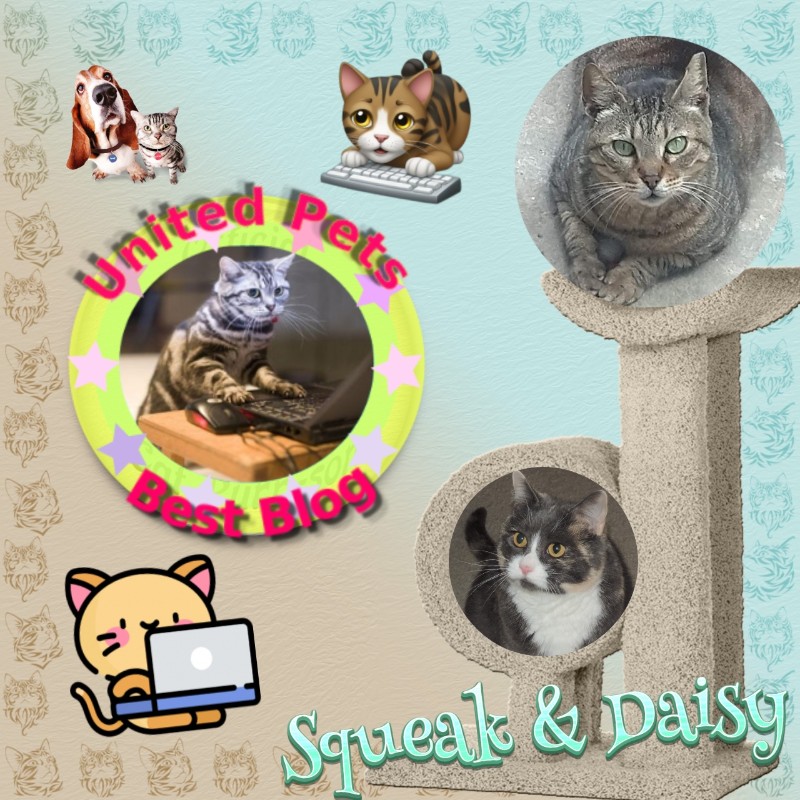 Daisy of the Blanche family