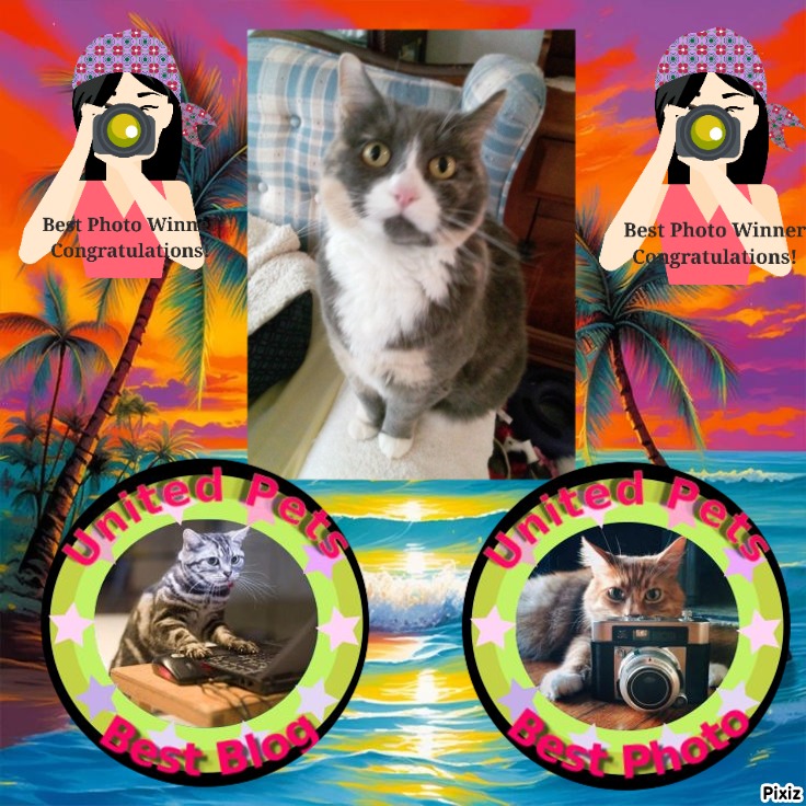 Blanche uploaded   45  day/s  ago