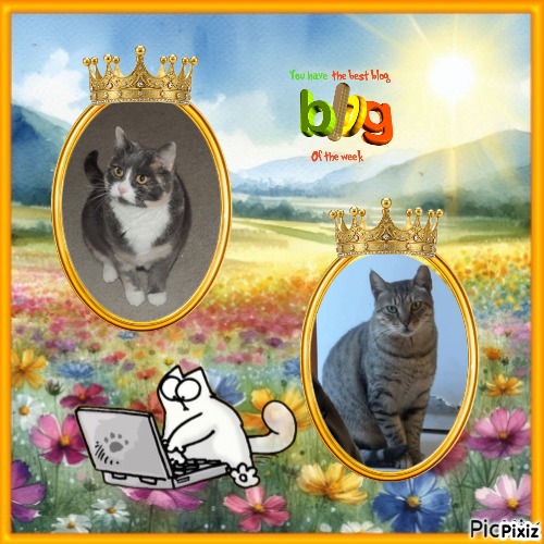 Blanche uploaded   10  day/s  ago