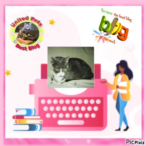 Daisy of the Blanche family