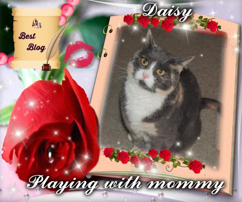 Daisy of the Blanche family