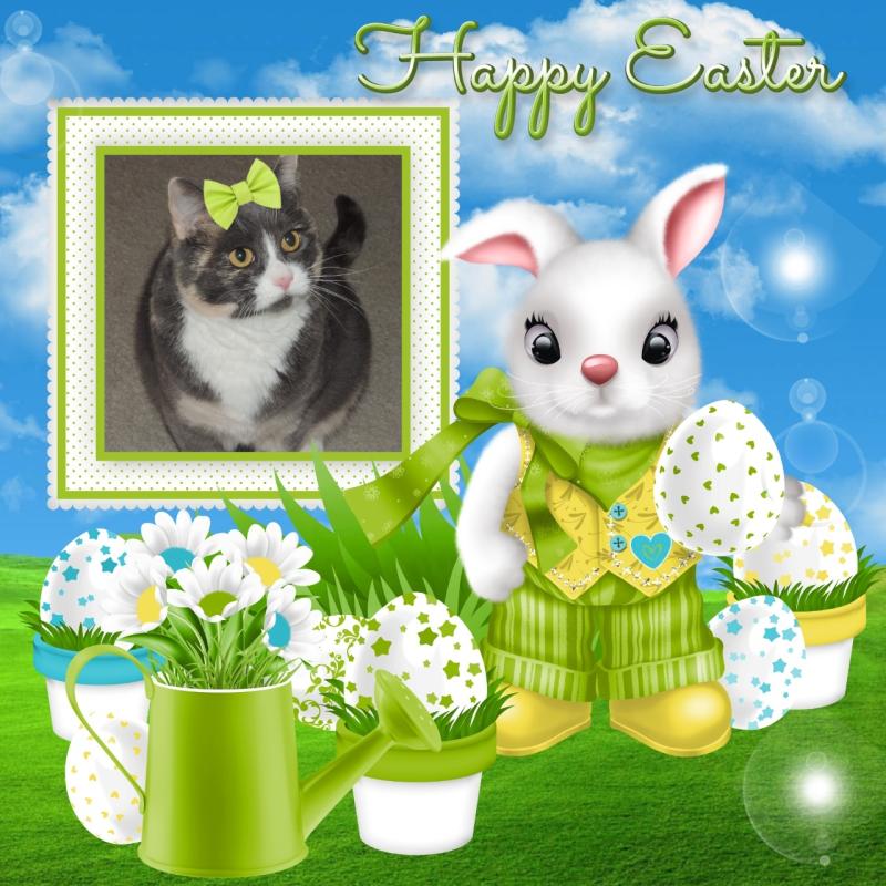 Blanche uploaded   26  day/s  ago