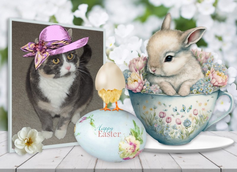 Blanche uploaded   13  day/s  ago