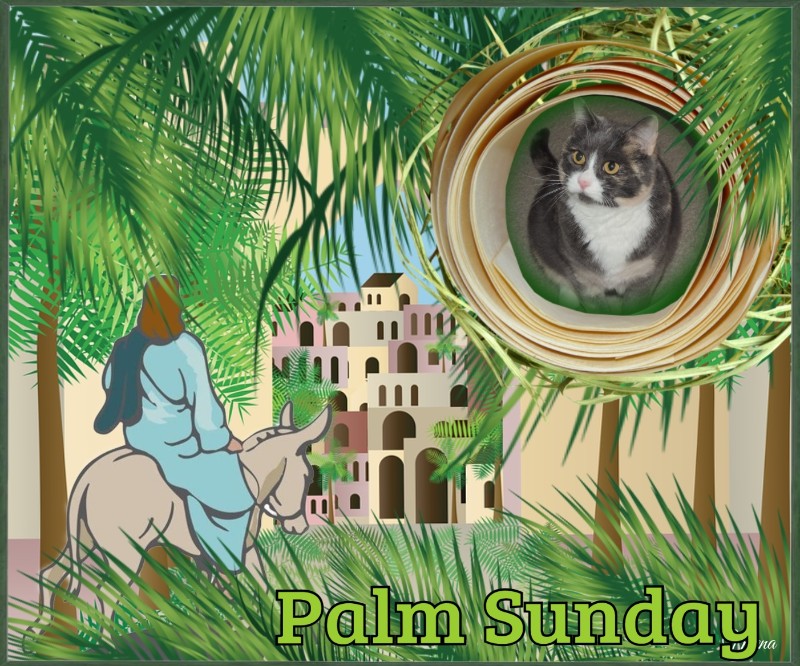 Blanche uploaded   15  day/s  ago