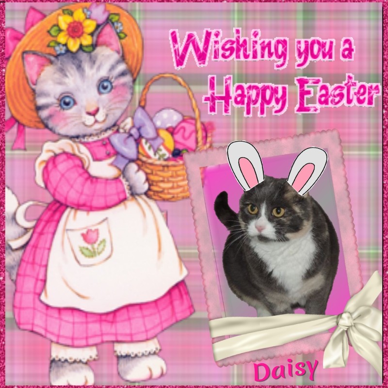 Blanche uploaded   13  day/s  ago