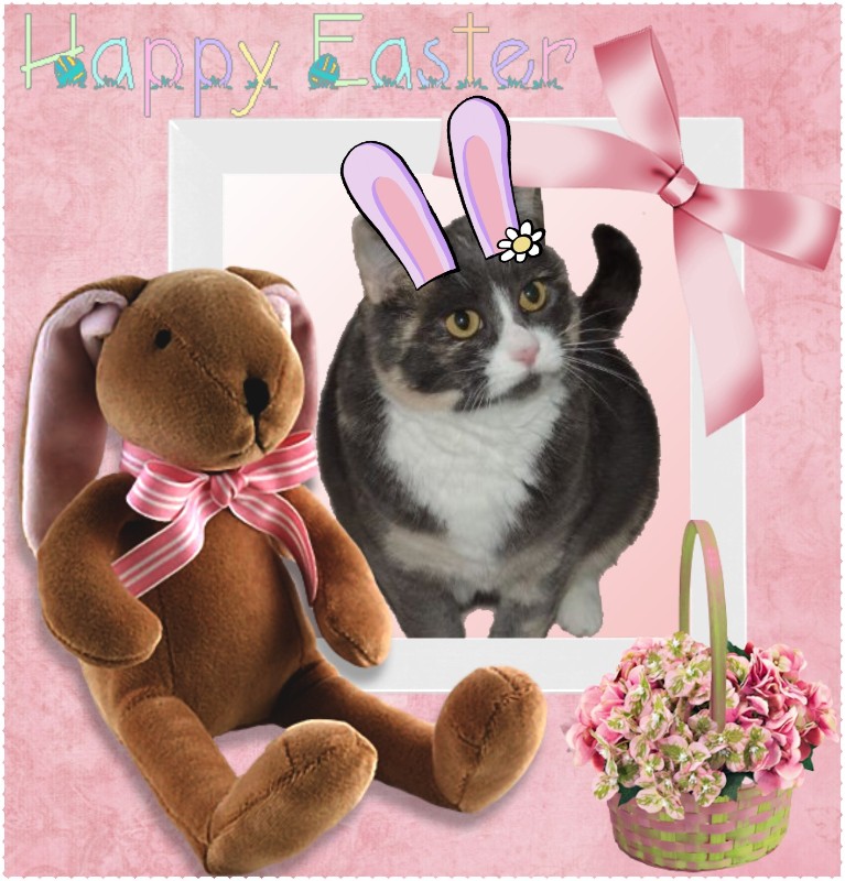 Blanche uploaded   18  day/s  ago